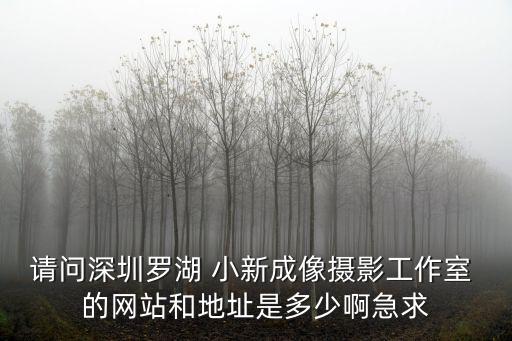 請問深圳羅湖 小新成像攝影工作室 的網(wǎng)站和地址是多少啊急求