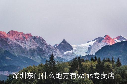 深圳東門有泰蘭尼斯童鞋店，深圳東門ALLSTAR專賣店的具體位置正版的