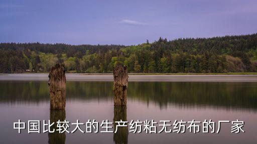 中國比較大的生產紡粘無紡布的廠家