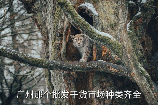 廣州那個(gè)批發(fā)干貨市場(chǎng)種類齊全