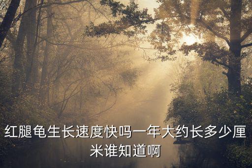 紅腿龜生長速度快嗎一年大約長多少厘米誰知道啊