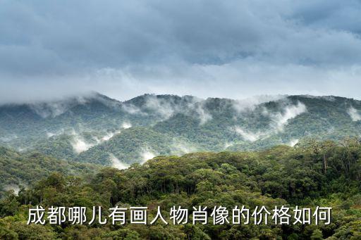 成都哪兒有畫人物肖像的價(jià)格如何