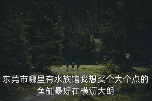 東莞市哪里有水族館我想買個(gè)大個(gè)點(diǎn)的魚(yú)缸最好在橫瀝大朗