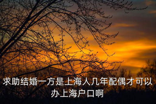 求助結(jié)婚一方是上海人幾年配偶才可以辦上海戶口啊