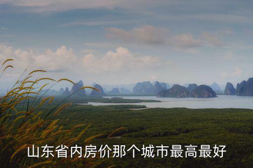 山東省內房價那個城市最高最好