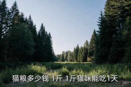 貓糧多少錢 1斤 1斤貓咪能吃1天