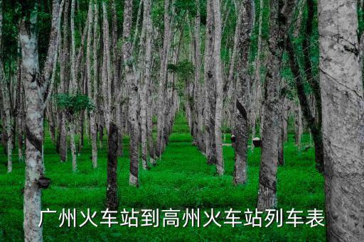 廣州到高州的火車站時刻表，廣州省站到高州有幾個班次