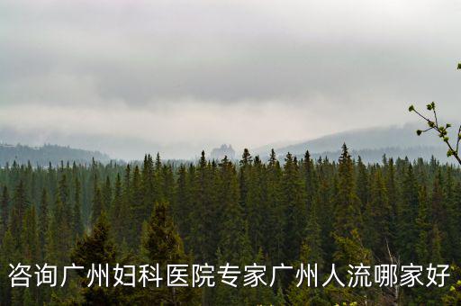 咨詢廣州婦科醫(yī)院專(zhuān)家廣州人流哪家好