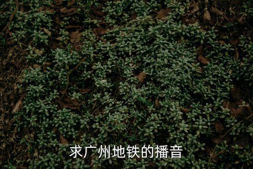 求廣州地鐵的播音
