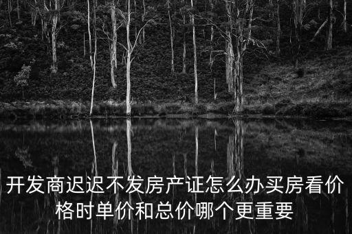 房價(jià)單價(jià)和總價(jià)哪個(gè)重要，房子總價(jià)怎么算