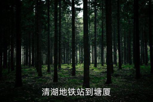 清湖地鐵站到塘廈