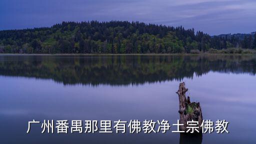 廣州大佛寺是凈土宗，廣州大佛寺有專門念佛號(hào)修凈土的班嗎如何加入