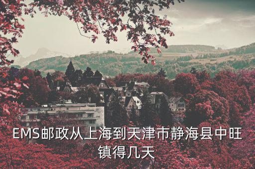 天津市靜海區(qū)中旺幫，中旺鎮(zhèn)的介紹