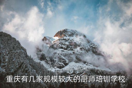 重慶市廚衛安裝工培訓機構，重慶哪有學櫥師的學校