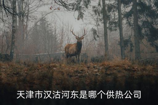 天津市熱力有限公司供熱三所，天津市中北鎮(zhèn)華亭麗園供熱是哪家供熱公司