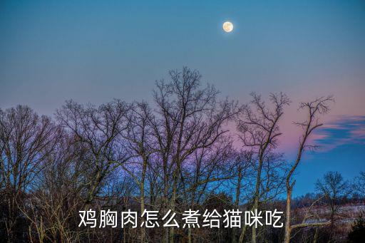 雞胸肉怎么煮給貓咪吃