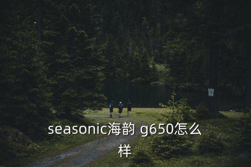 seasonic海韻 g650怎么樣