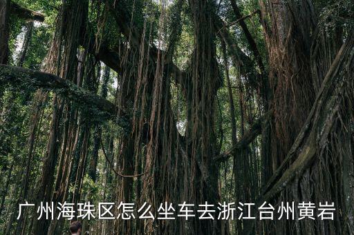 廣州海珠區怎么坐車去浙江臺州黃巖
