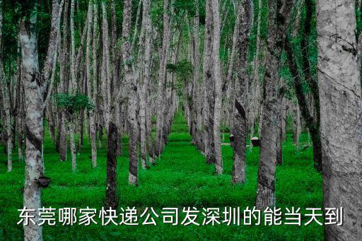 東莞哪家快遞公司發深圳的能當天到