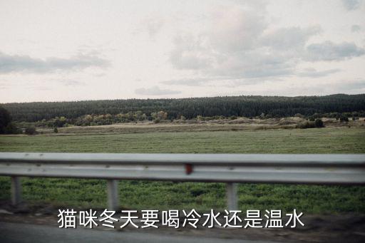 貓喝水多少度合適，貓每天喝多少水合適