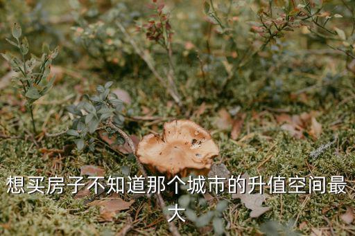 想買房子不知道那個城市的升值空間最大