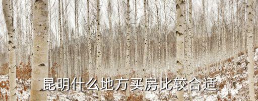 云南哪個城市房價不貴，云南哪里的房價最便宜