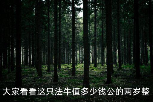 大家看看這只法牛值多少錢公的兩歲整