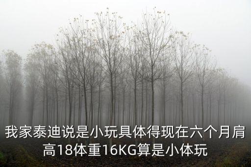 超小玩具泰迪成年肩高多少，那迷你泰迪一般肩高多少 還有身長(zhǎng)多少 謝謝