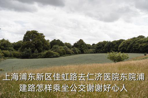 上海浦東新區(qū)佳虹路去仁濟(jì)醫(yī)院東院浦建路怎樣乘坐公交謝謝好心人
