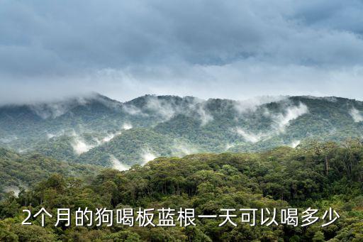 2個月的狗喝板藍根一天可以喝多少