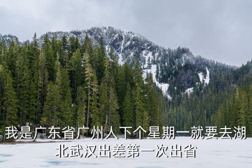我是廣東省廣州人下個星期一就要去湖北武漢出差第一次出省