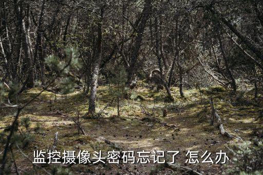 監控一體機的密碼忘記了怎么辦，監控系統忘記密碼了怎么辦