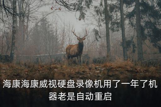 ?？岛？低曈脖P錄像機用了一年了機器老是自動重啟