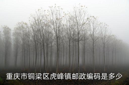 重慶市銅梁區虎峰鎮郵政編碼是多少