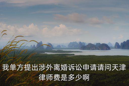 我單方提出涉外離婚訴訟申請請問天津律師費(fèi)是多少啊