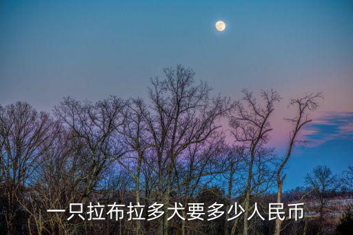 一只拉布拉多犬要多少人民幣
