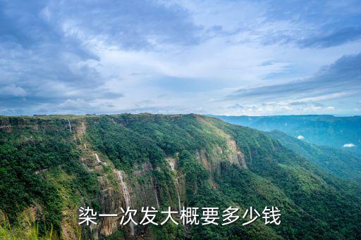 染一次發大概要多少錢