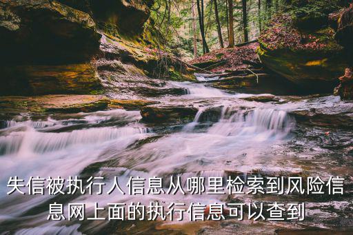 風險信息網個人查詢，有案件查詢碼要風險信息網怎么查詢案件