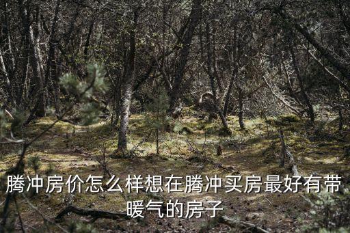 騰沖房?jī)r(jià)怎么樣想在騰沖買房最好有帶暖氣的房子