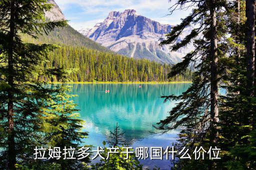 拉姆拉多犬產(chǎn)于哪國(guó)什么價(jià)位