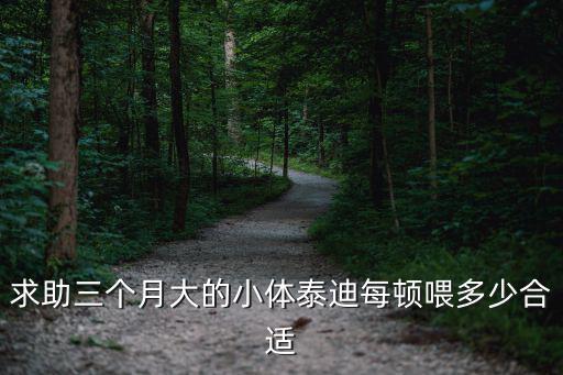 求助三個月大的小體泰迪每頓喂多少合適