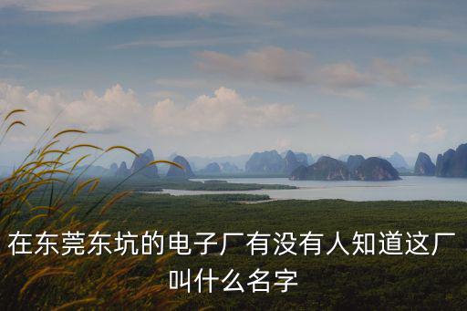 東莞東坑有哪些電子廠，東坑哪個電子廠好