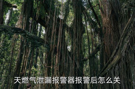 煤氣報警器怎么關(guān)，家里的燃氣警報器老響怎么可以關(guān)了它