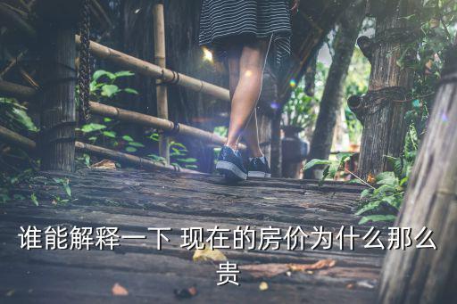 誰能解釋一下 現在的房價為什么那么貴