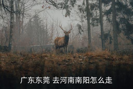 東莞東至南陽，廣東東莞 去河南南陽怎么走