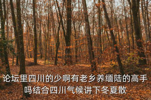 論壇里四川的少啊有老鄉(xiāng)養(yǎng)緬陸的高手嗎結合四川氣候講下冬夏散