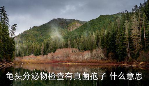 龜頭分泌物檢查有真菌孢子 什么意思