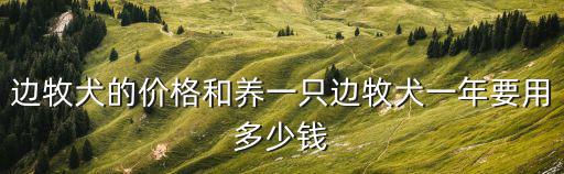 邊牧犬的價(jià)格和養(yǎng)一只邊牧犬一年要用多少錢