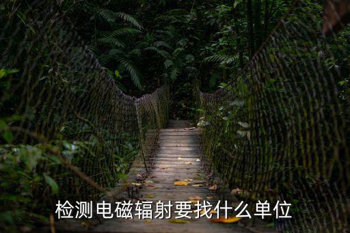 天津市測量電磁輻射機構，想要檢測家里輻射找哪里啊