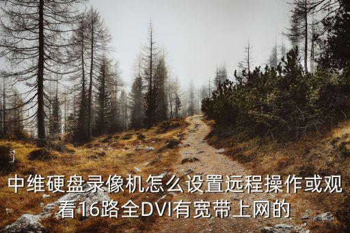 中維硬盤錄像機(jī)怎么設(shè)置遠(yuǎn)程操作或觀看16路全DVI有寬帶上網(wǎng)的